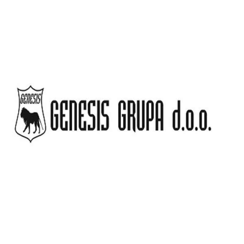 Genesis Grupa.jpg